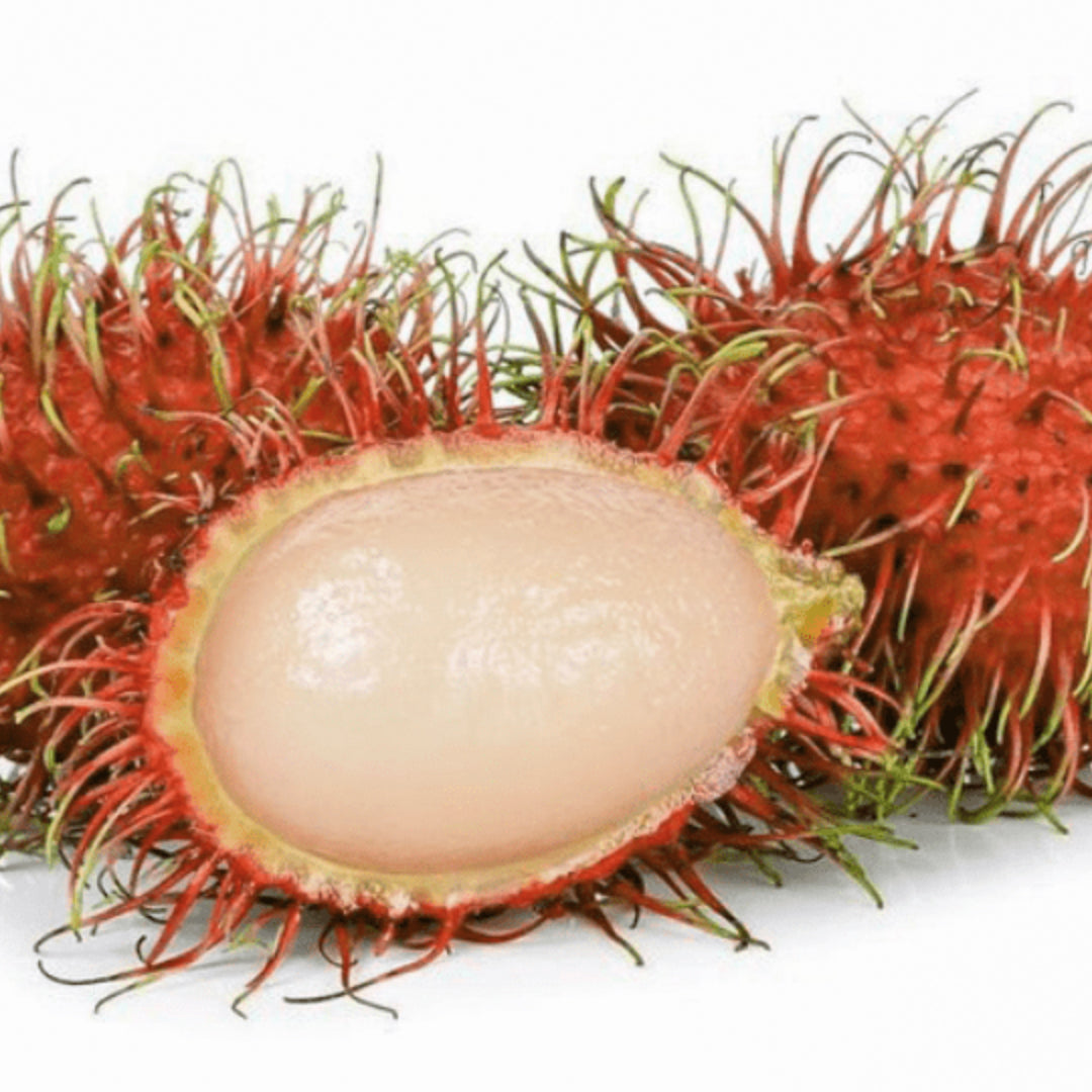 Rambutan Caesar Live Plants (Red)