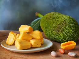 Jack Fruit Live Plants