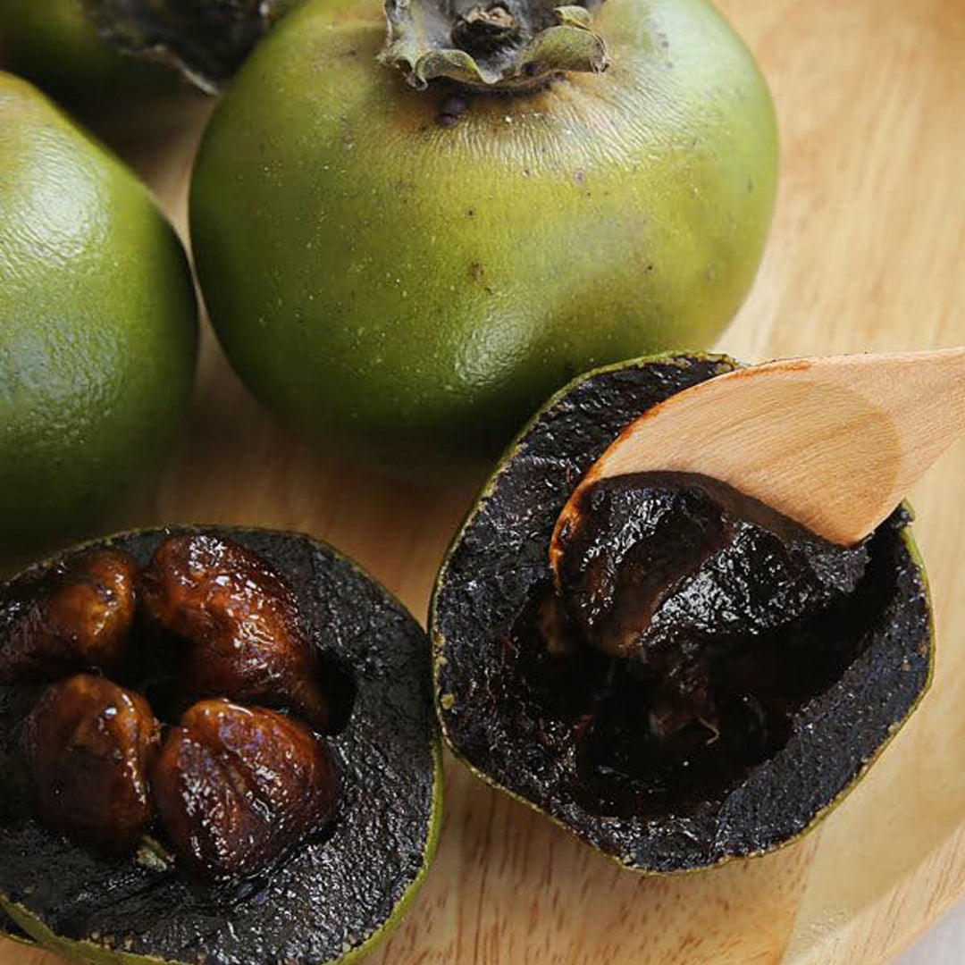 Sapote Live Plants