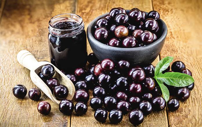 Jaboticaba Live Plants