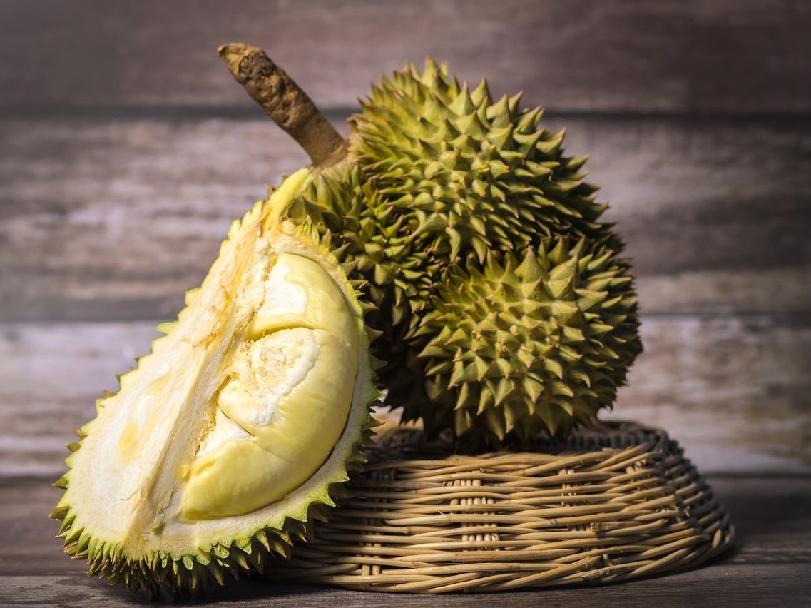 Durian Live Plants