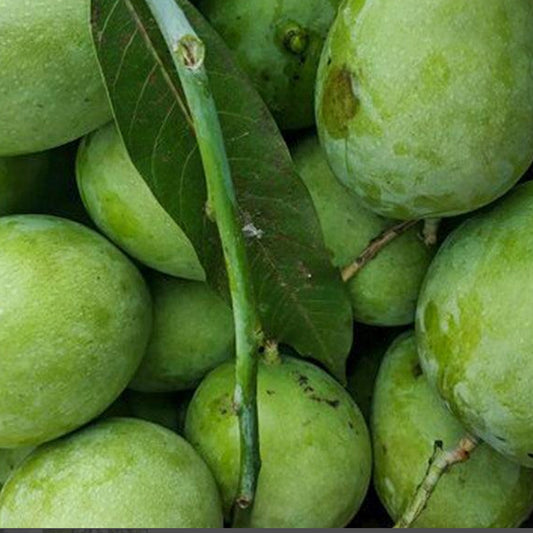 Moovanden Mango Live Plants