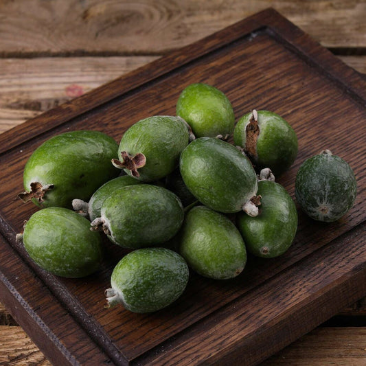 Jabuticaba Melancia Live Plant (Plinia Sp)