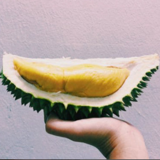 D101 durian Live Plants