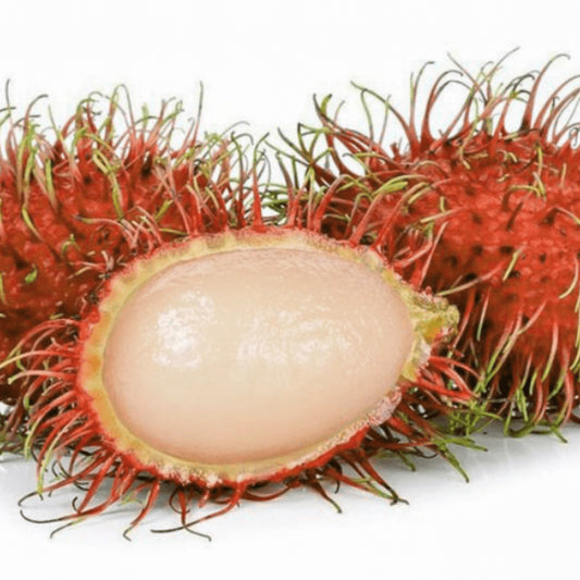 Rambutan Caesar Live Plants (Red)