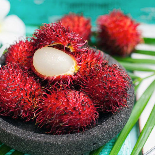 N18 Rambutan Live Plants (Red)
